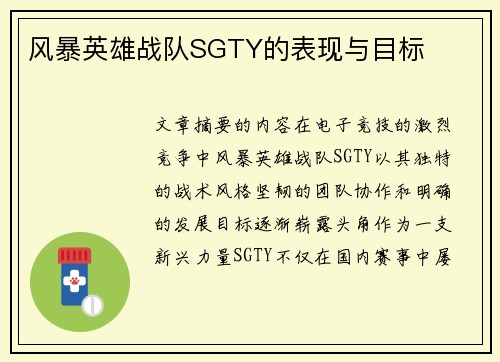 风暴英雄战队SGTY的表现与目标